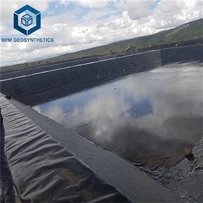 Най-добрата китайска HDPE геомембрана на ролка HDPE